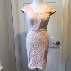 The Limited Pink Sheath Dress